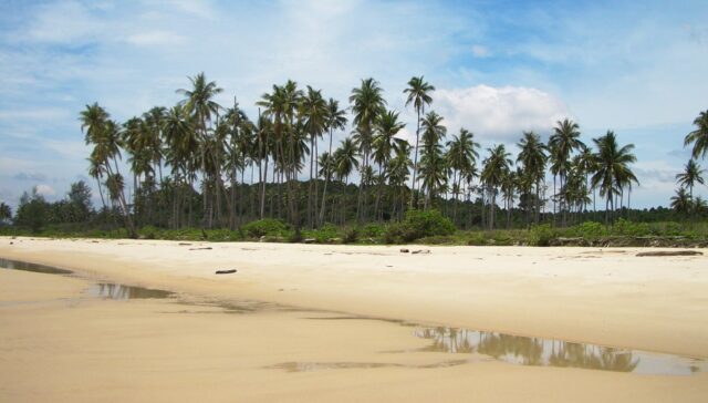 Bintan Project. The Intelligent Island of Indonesia (7)